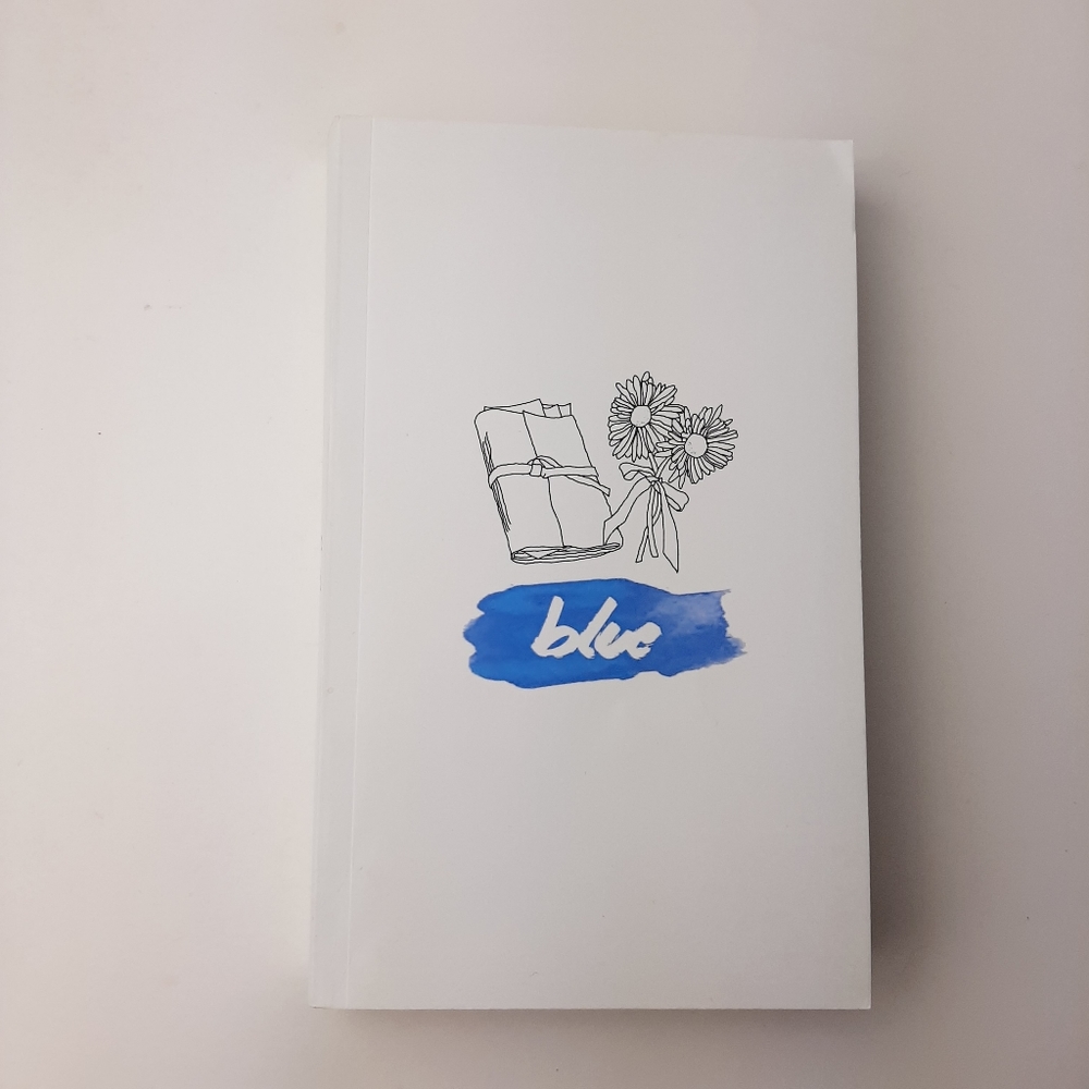 🍒4 for $20🍒  BLUE Paperback Book by Lena Nottingham